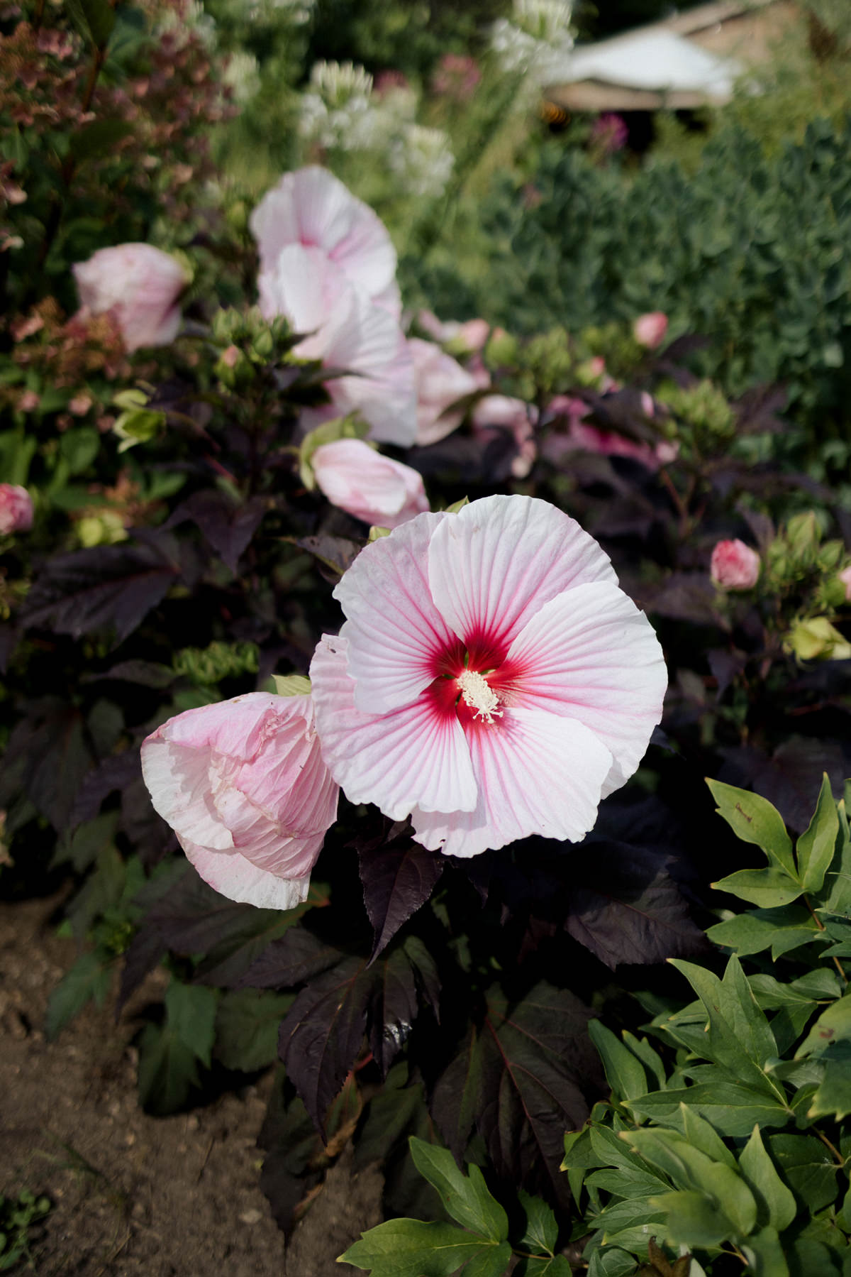 Adelina Barn Venue Wedding Anita Peeples Photography (3)