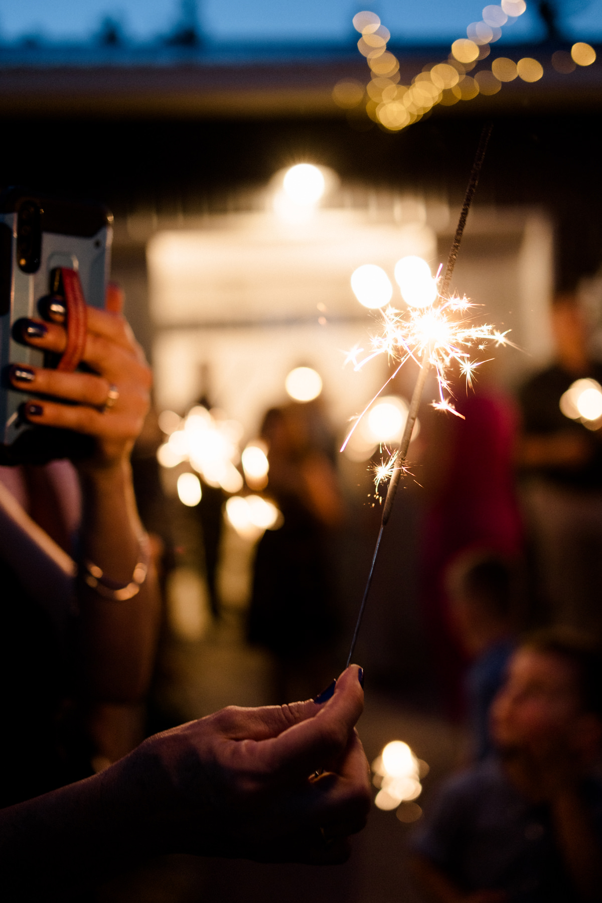 Bleeks And Bergamot Wedding Photographer Anita Peeples (110)