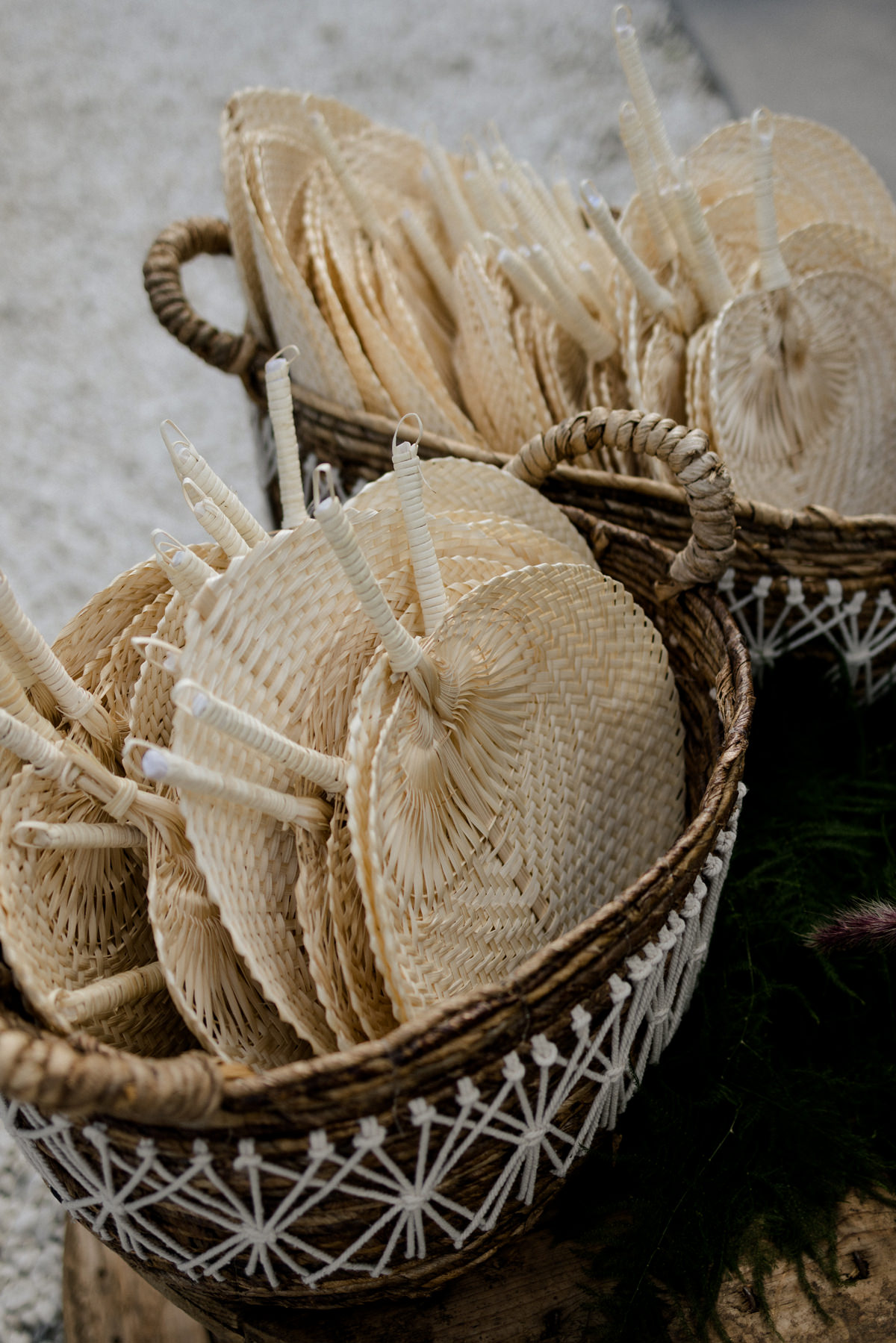 Bleeks And Bergamot Wedding Photographer Anita Peeples (6)