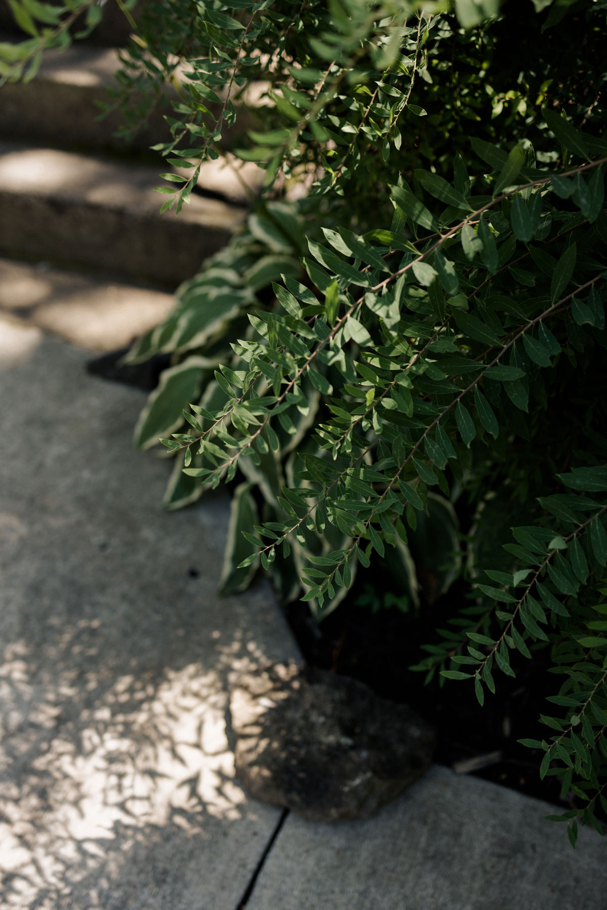 Stonefields Estate Wedding Photography (2)