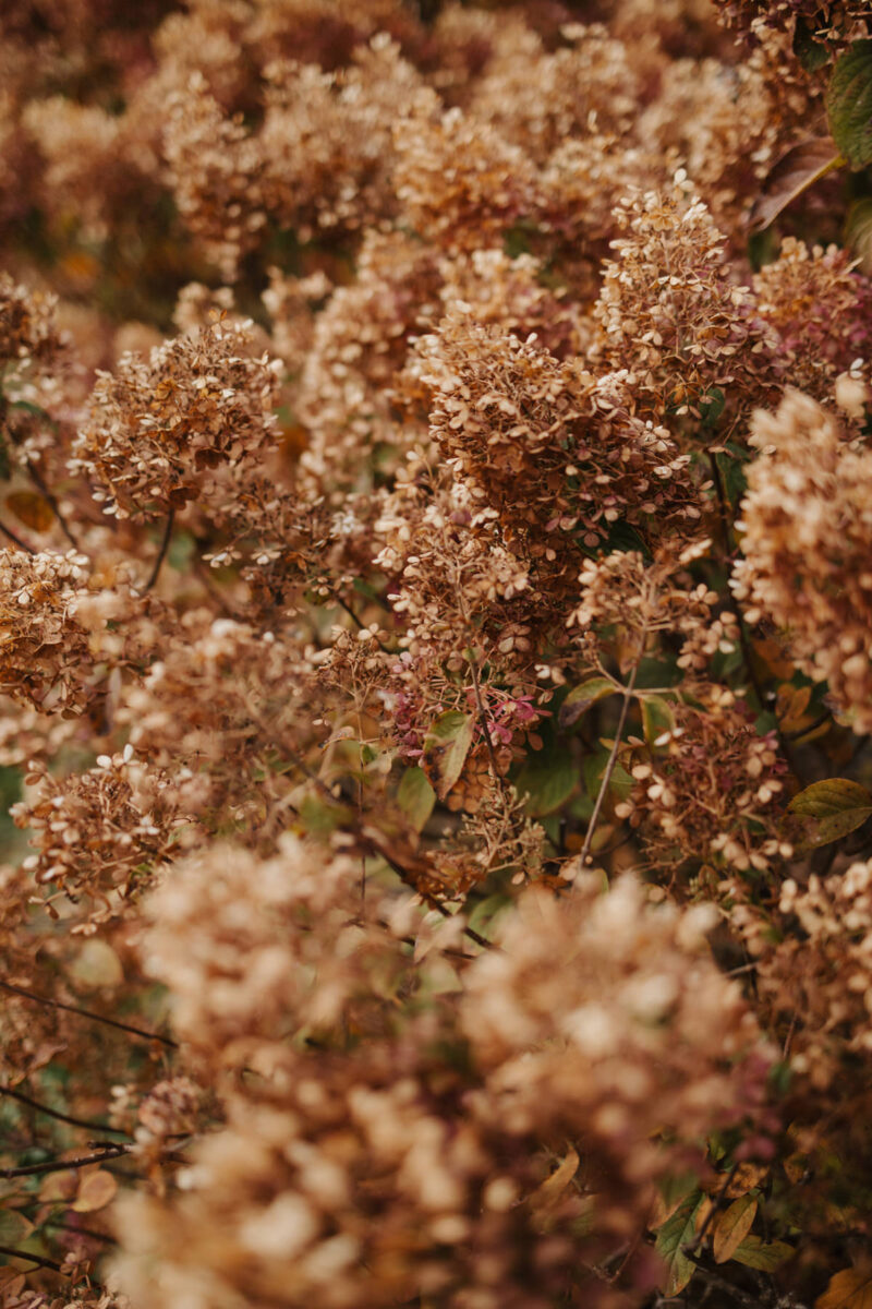 Fall Wedding Adelina Gatineau Anita Peeples Photography (105)
