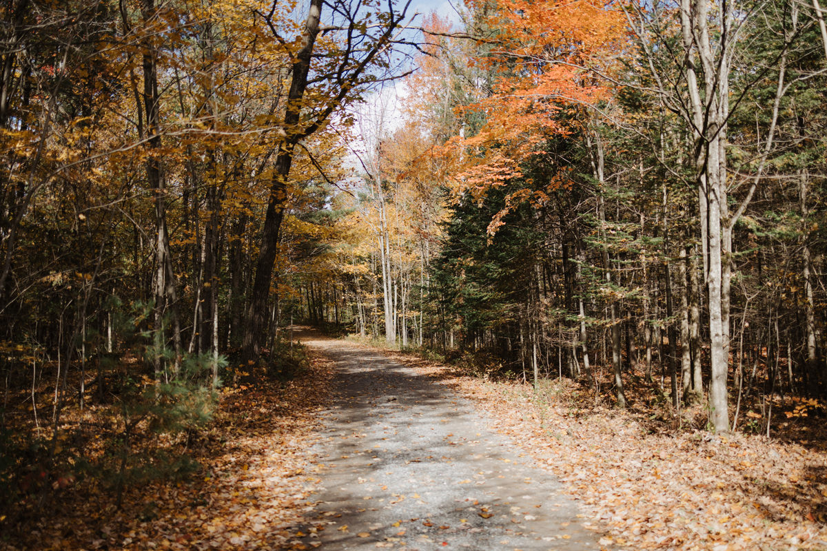 Fall Wedding Adelina Gatineau Anita Peeples Photography (131)