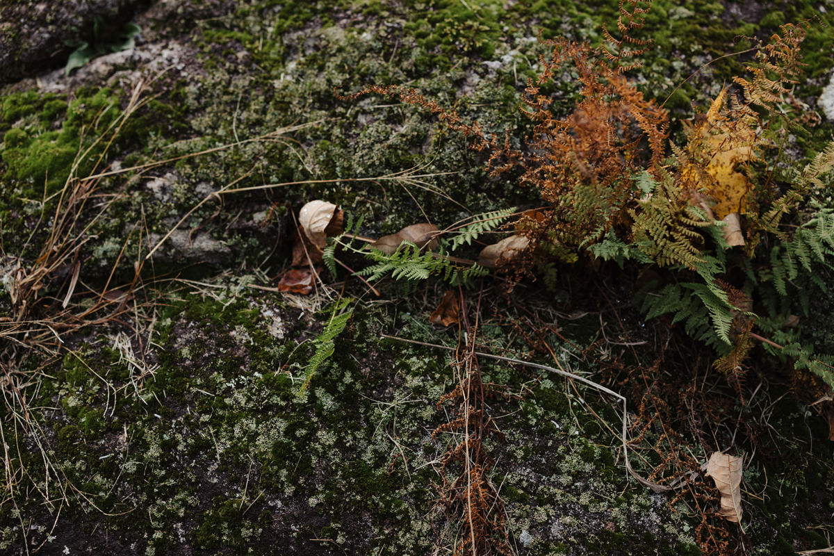 Fall Wedding Adelina Gatineau Anita Peeples Photography (29)