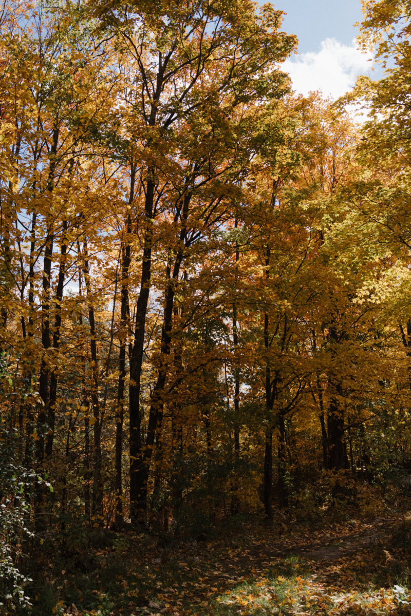 Fall Wedding Adelina Gatineau Anita Peeples Photography (99)