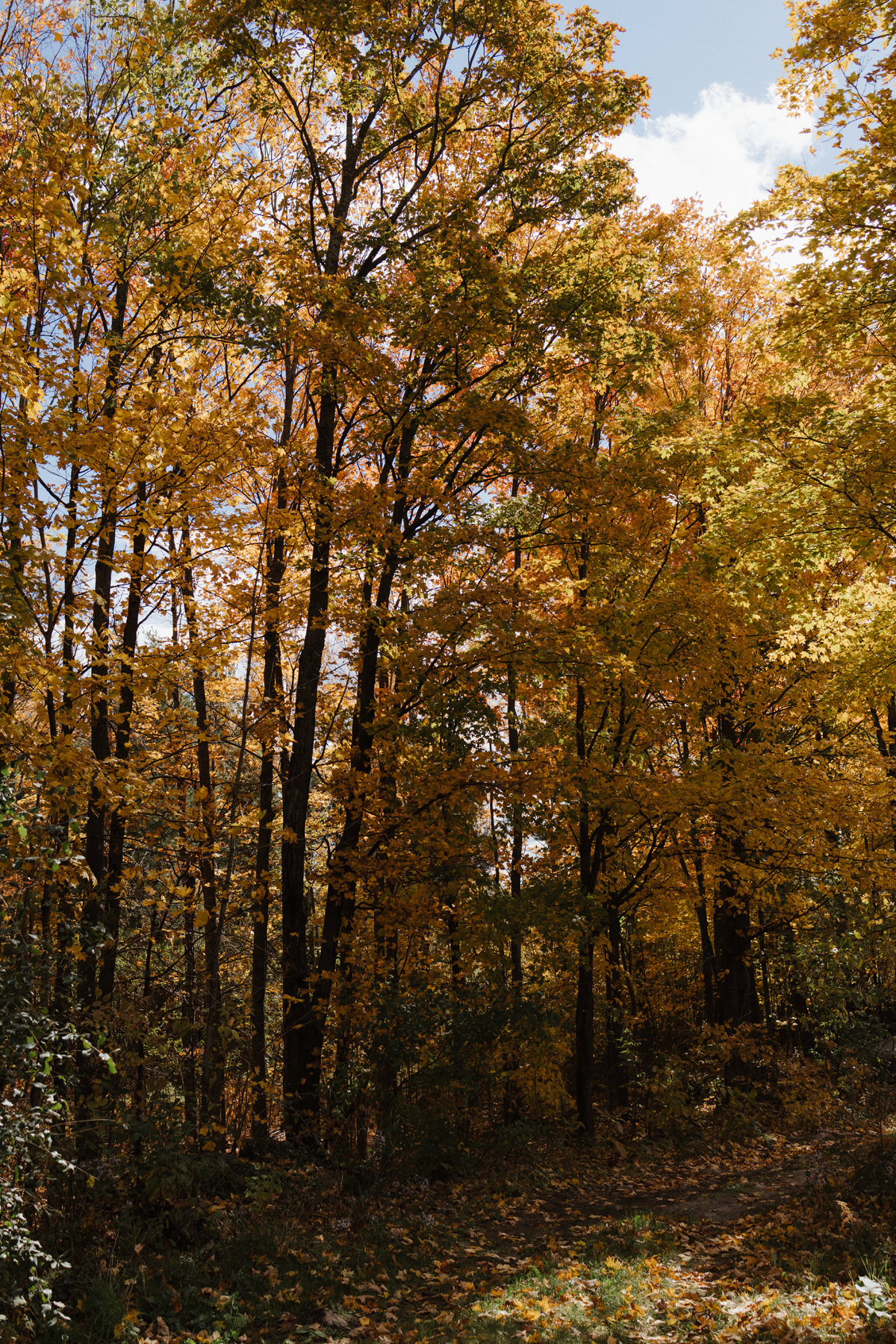 Fall Wedding Adelina Gatineau Anita Peeples Photography (99)