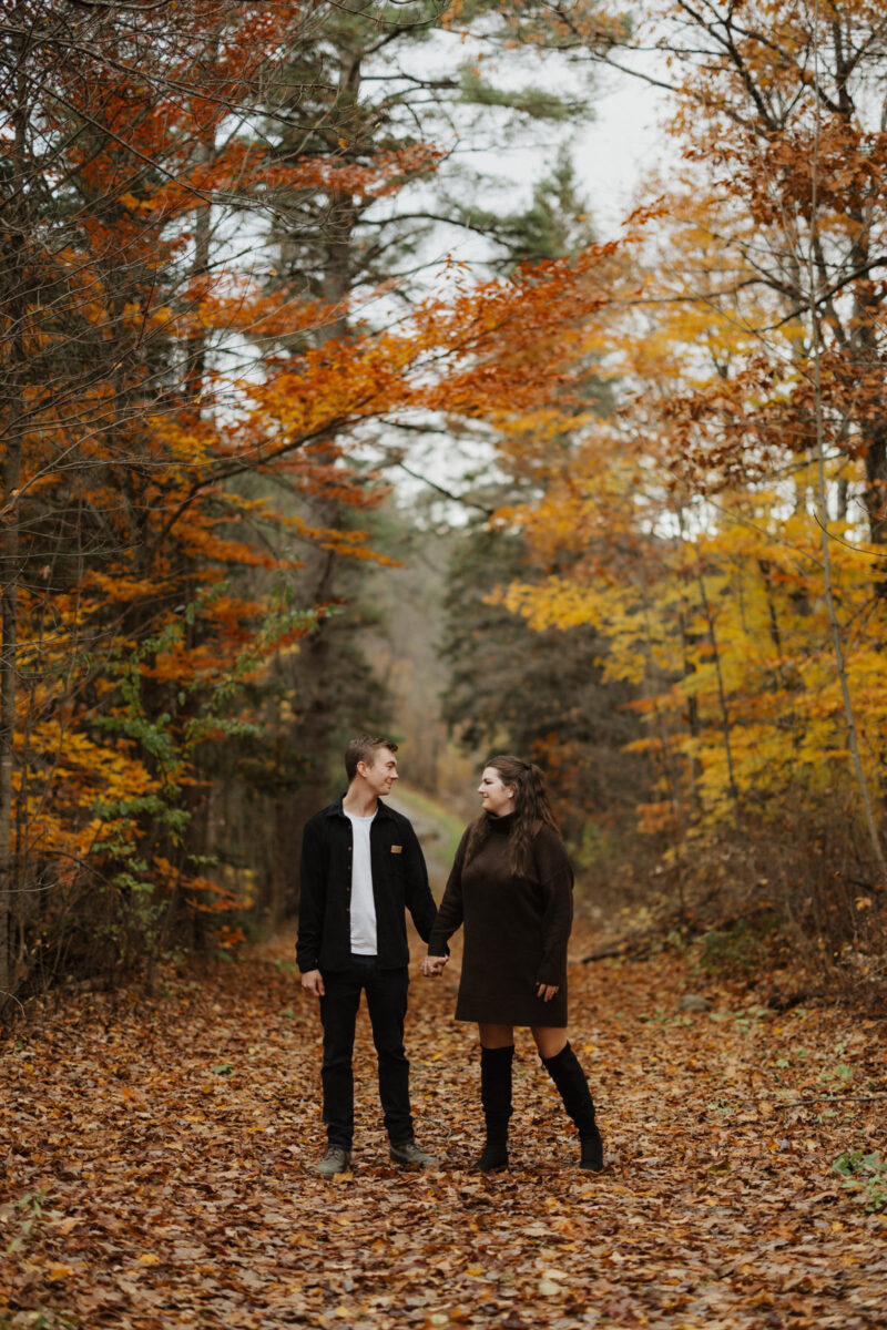 Wakefield Quebec Gatineau Park Engagement Photos (16)