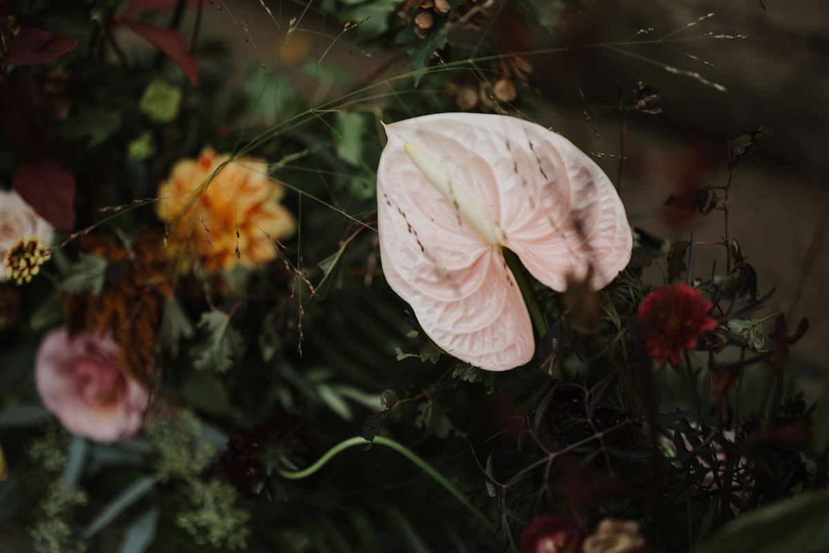 Stonefields Estate Wedding September Anita Peeples Photography (34)