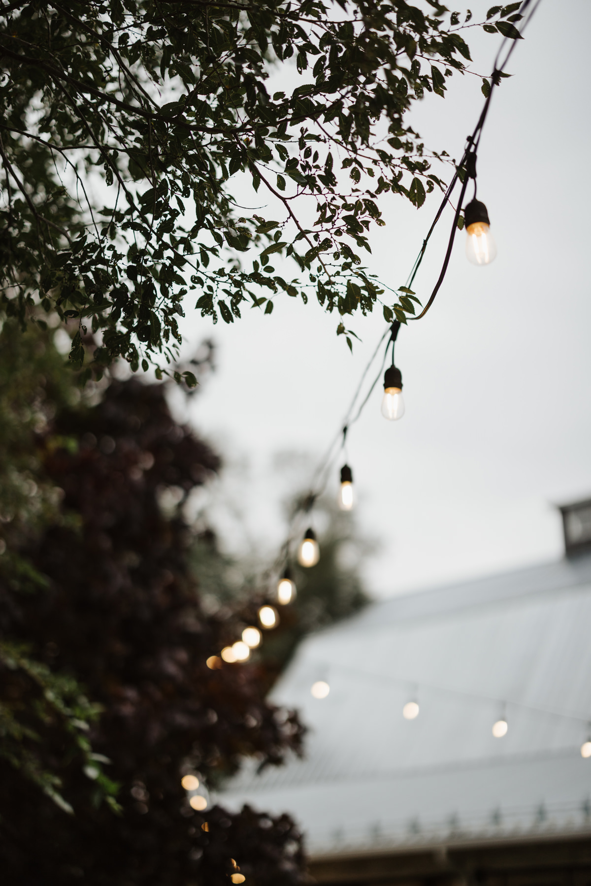 Stonefields Estate Wedding September Anita Peeples Photography (62)