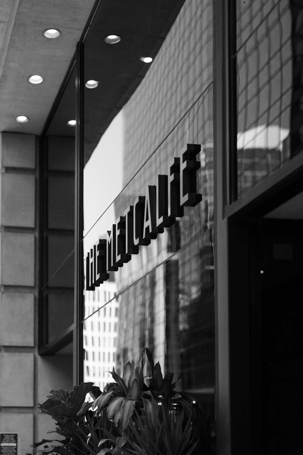 Umbrella Bar Wedding Dow's Lake Ottawa (1)