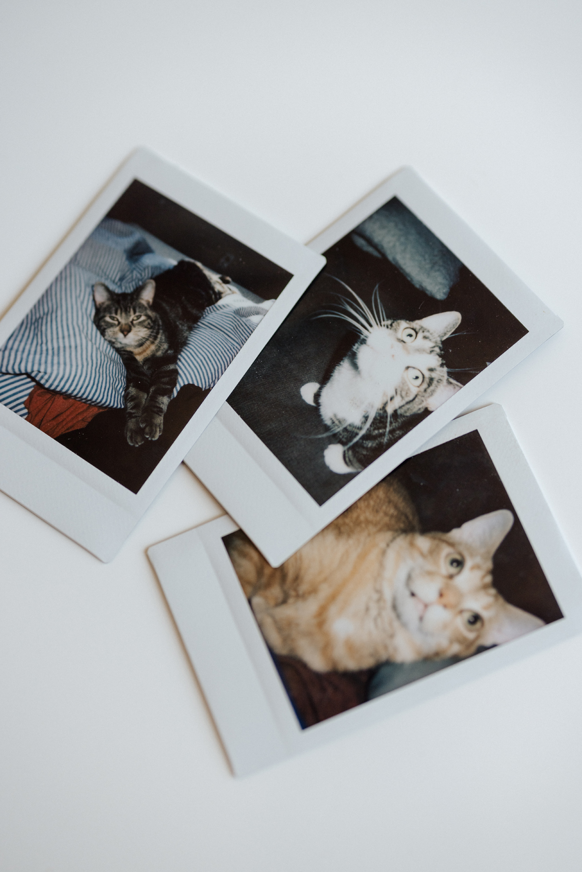 Golf Mont Cascades Wedding (5)