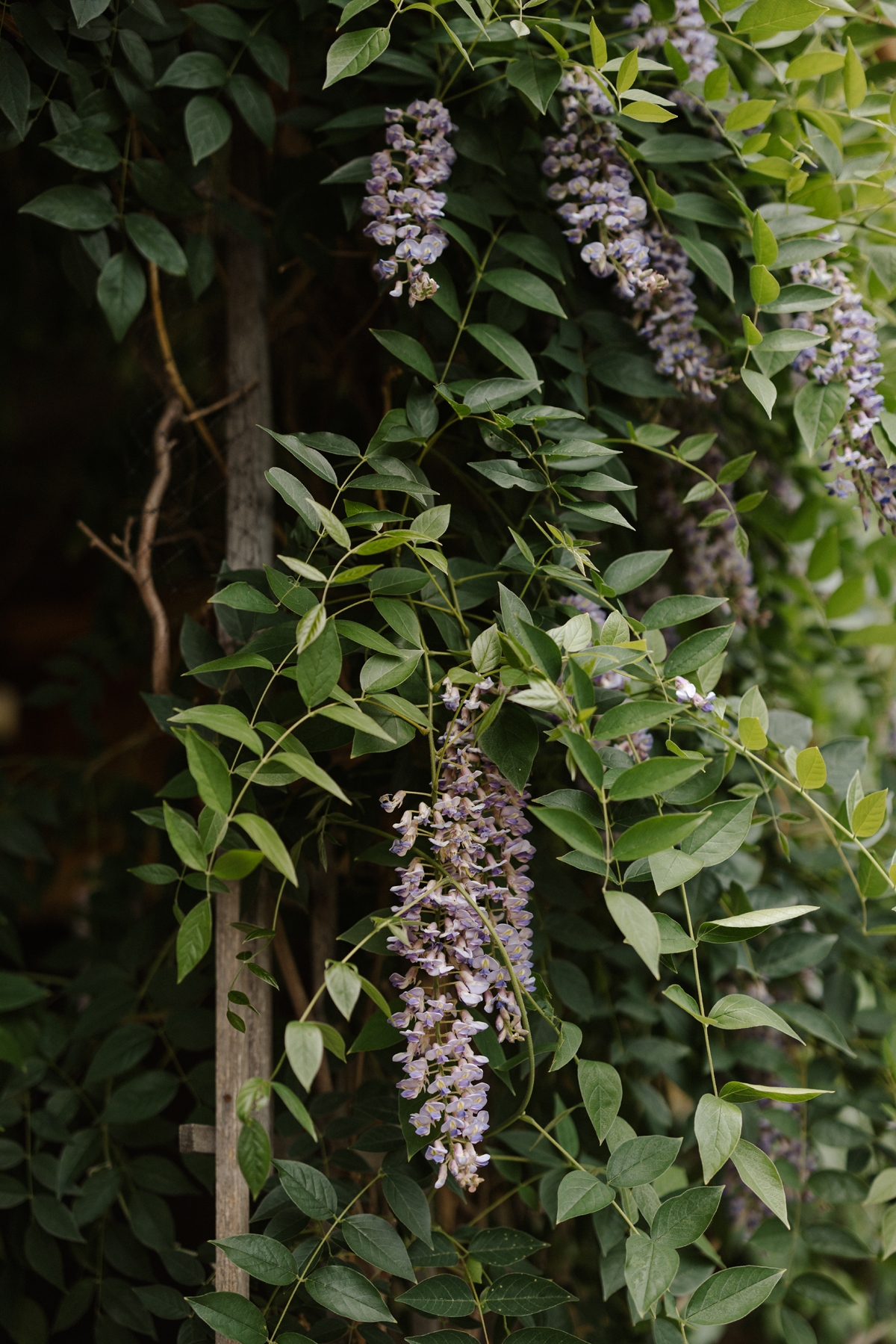 Adelina Barn Wedding (18)