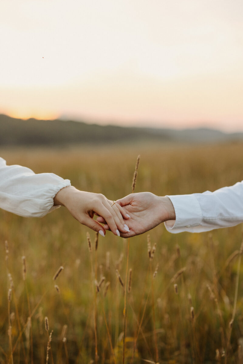 Ottawa Engagement Photos European Picnic (49b)
