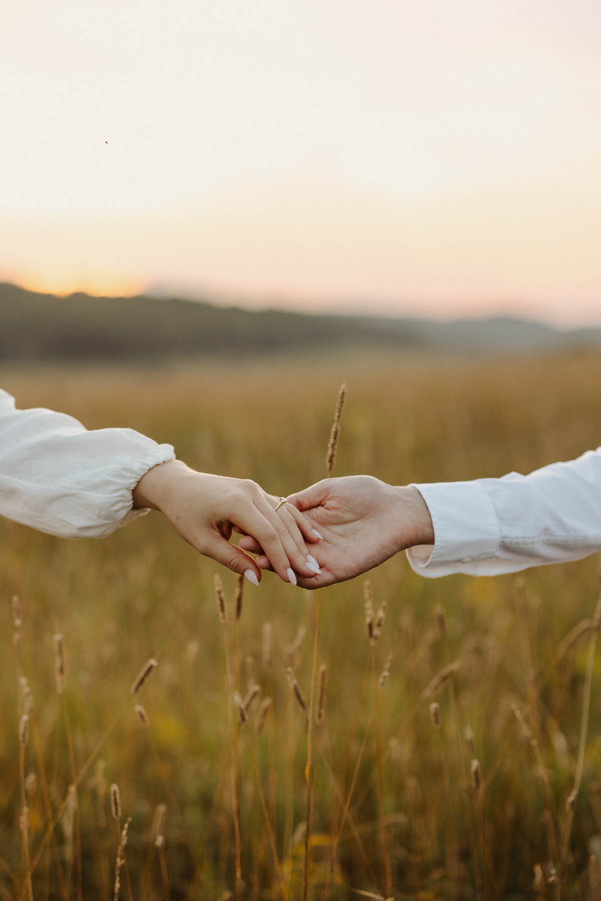 Ottawa Engagement Photos European Picnic (49b)