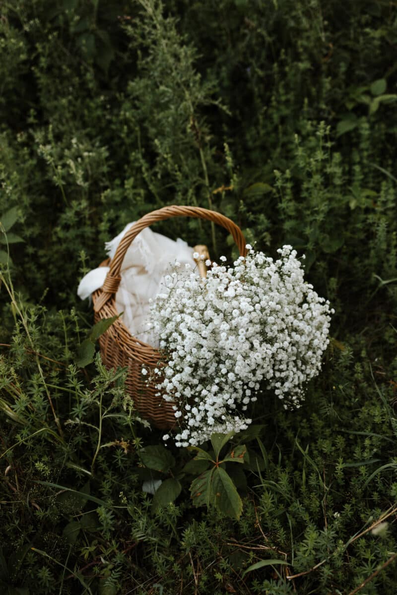 Ottawa Engagement Photos European Picnic (7)