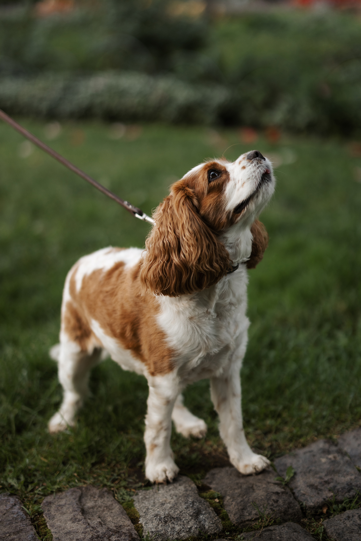 National Gallery Of Canada Wedding Ottawa (27)