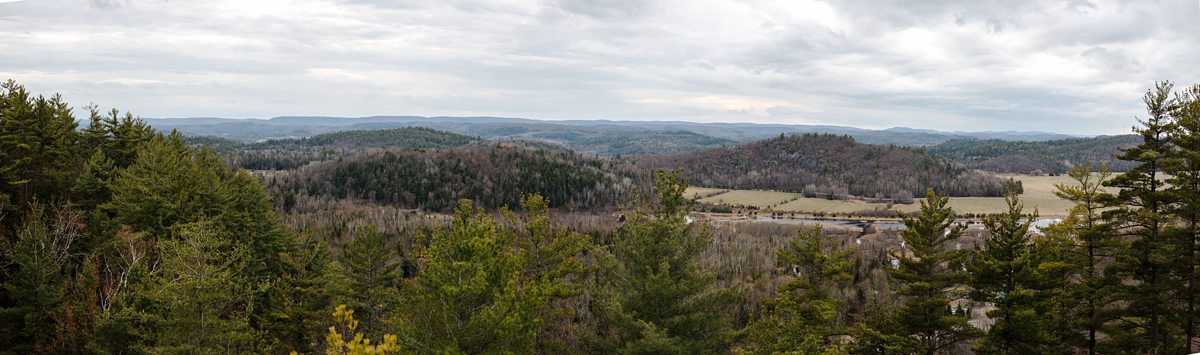 Le Belvedere Spring Wedding (67)