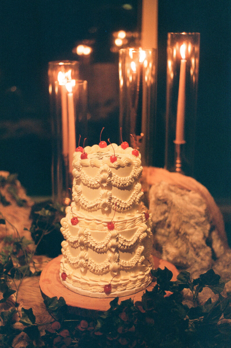 Film Wedding Photographer Ottawa (38)