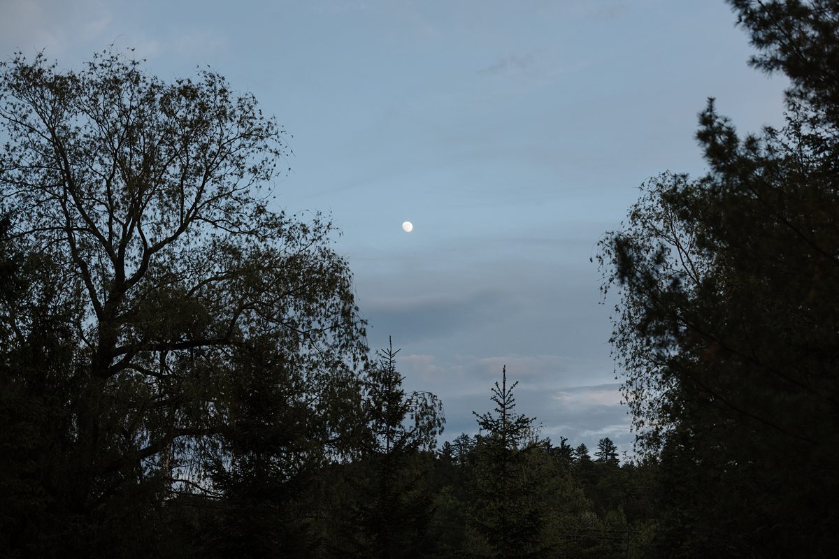 Wakefield Grand Wedding (53)