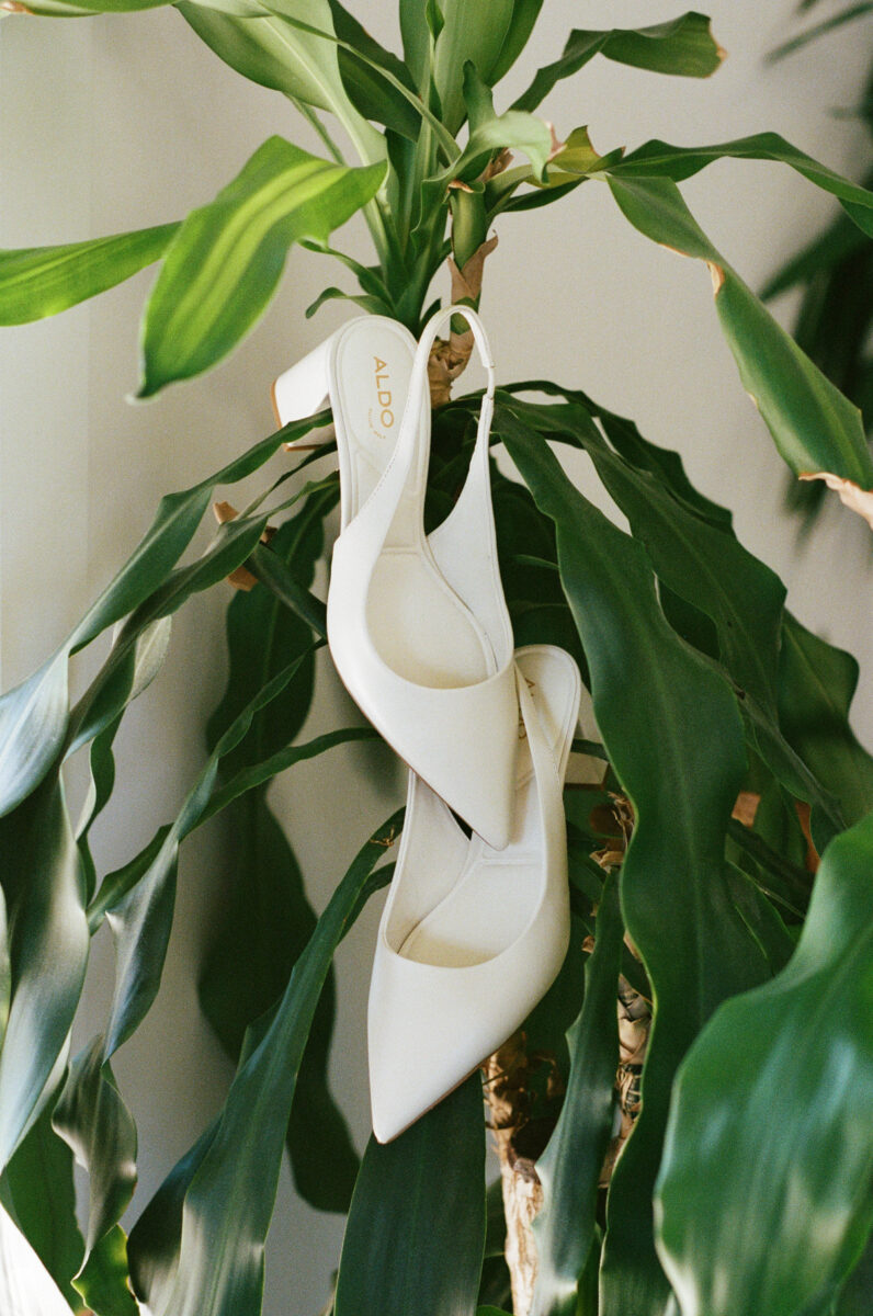 Le Peaches And Cream 35mm Film Photographer Anita Peeples Photography (1)