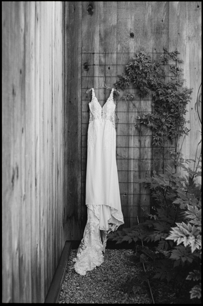 Le Peaches And Cream 35mm Film Photographer Anita Peeples Photography (2)