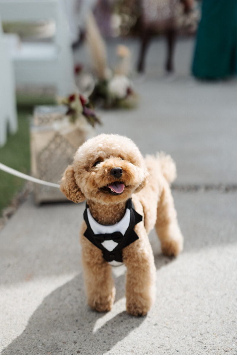 Le Belvedere Wedding Venue (37)