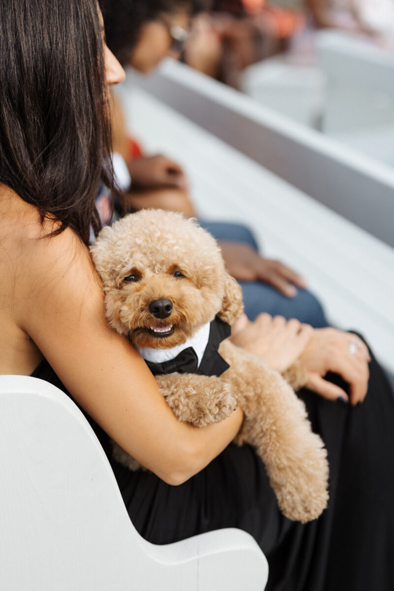 Le Belvedere Wedding Venue (49)