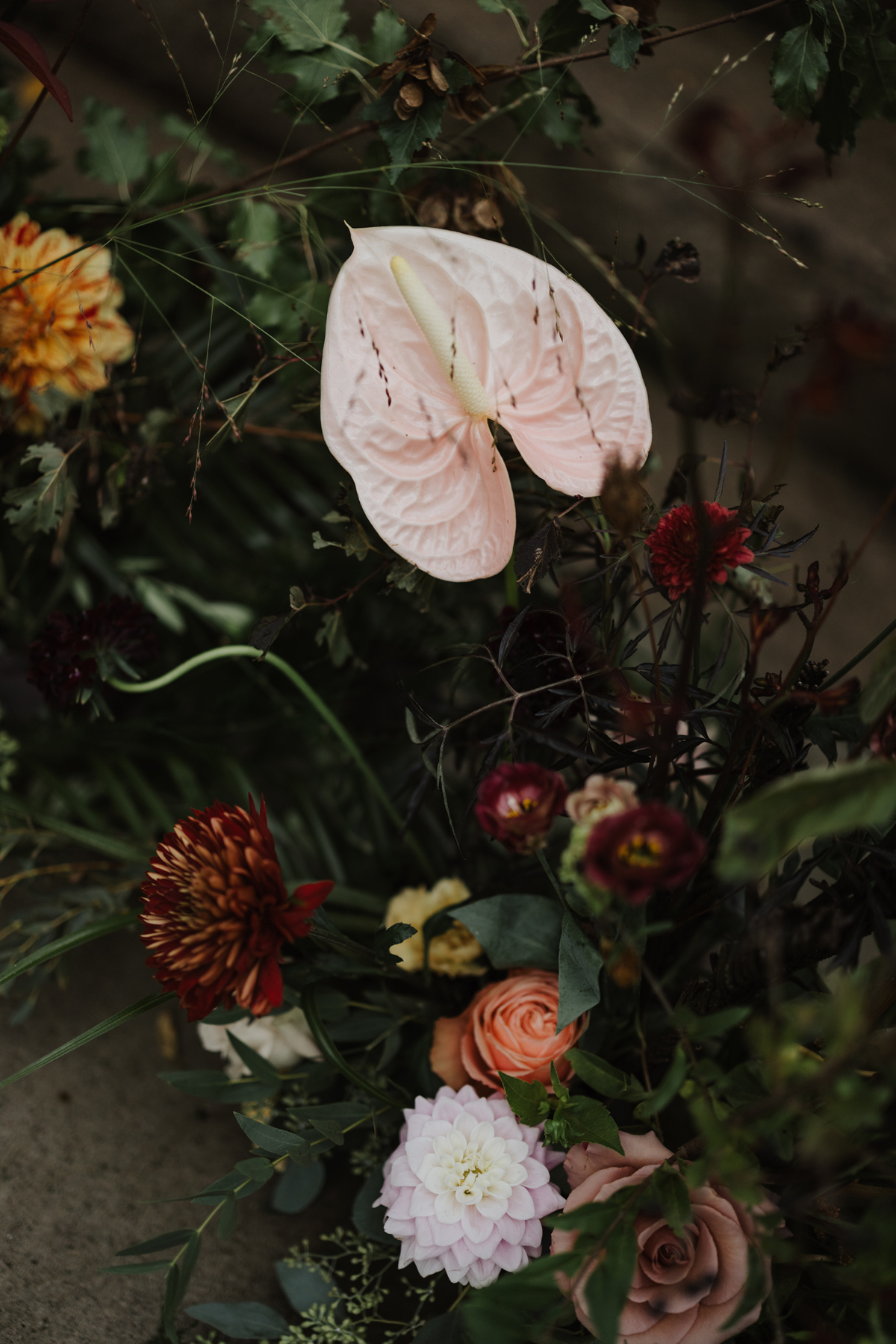 Stonefields Estate Wedding (35)