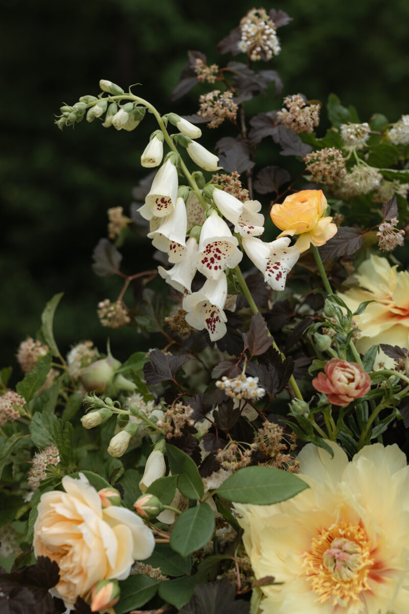 Adelina Barn Wedding 2026 (64)