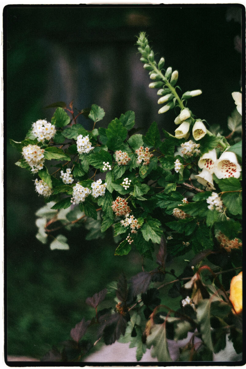 Adelina Barn Wedding 2026 (81)