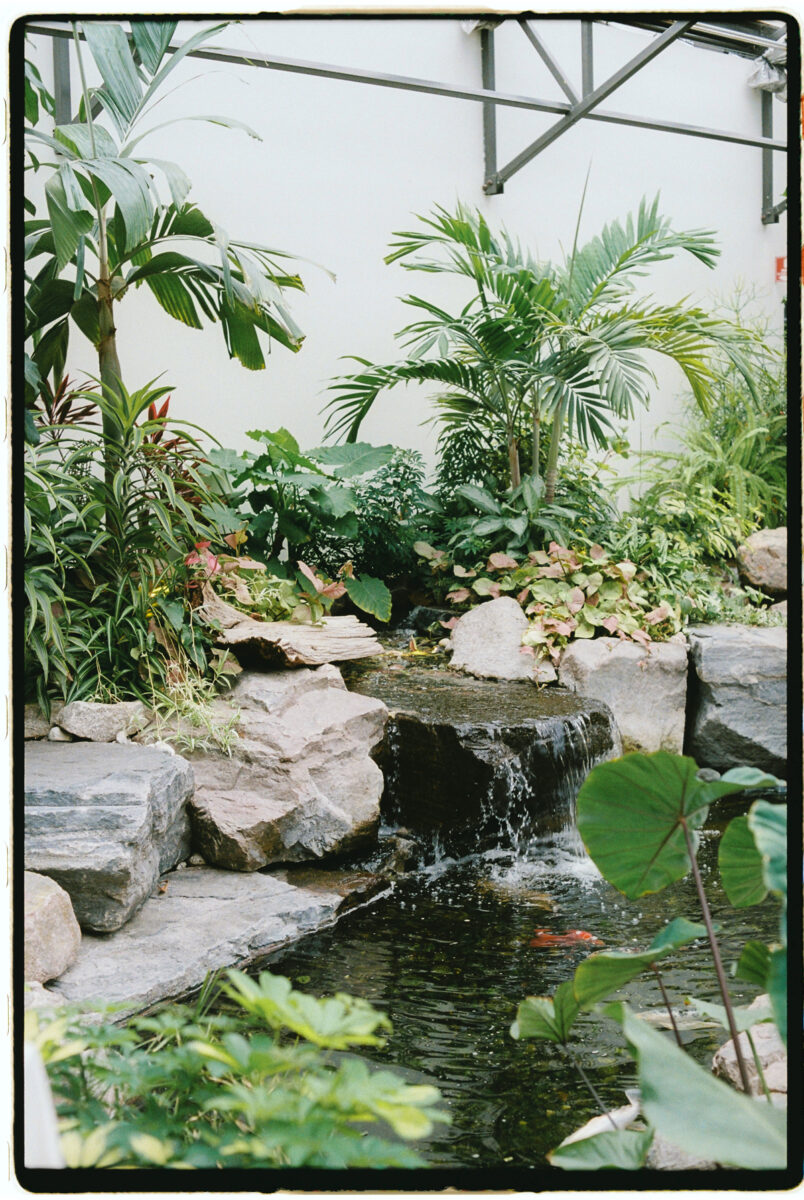 Wedding Film Photographer Ottawa (8)